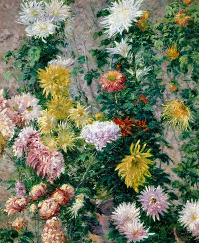 Weiße und gelbe Chrysanthemen, 1893 von Gustave Caillebotte